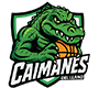 Caimanes del Llano